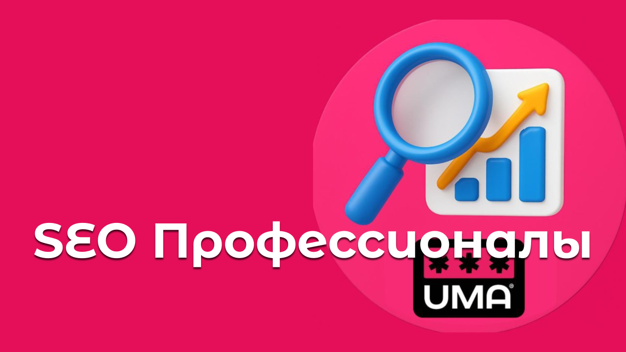 SEO Профессионалы